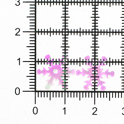 Пайетки 'снежинки' 13мм, Astra&Craft 10г