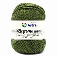 Пряжа Astra Premium 'Шерсть яка' (Yak wool) 100гр 120м (+/-5%) (25%шерсть яка, 50%шерсть, 25%фибра) (24 зеленый мох)
