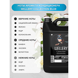 Кондиционер для белья парфюмированный WELLERY Collection Blue 5,0л